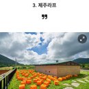 금수강산 이미지