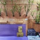 사랑의뜰안 이미지