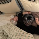 (유)유일테크노동조합 | [ 4개월아기 ]영도빈티지마켓 | 모모스커피 | 카페연화 |엘팡드주 주버거 | 키치니토키친