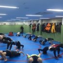 구로주짓수&MMA, 레슬링 이미지