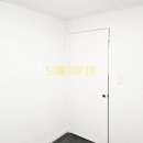 신세대지큐빌 이미지