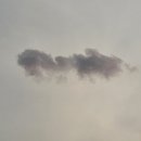 본가종로빈대떡 | [용현동본가종로빈대떡] 방문후기