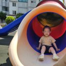 공룡뼈퍼즐,실외놀이,영어 이미지