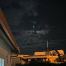 사랑이 꽃피는 민박 이미지