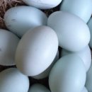 인정슈퍼 - 성남시중원구 | 인정슈퍼