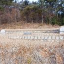 남해-194 이미지