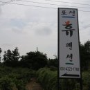 표선 휴 이미지