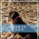 만남을 위한 소설 한 소설로