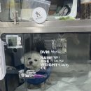 마곡M동물의료센터 이미지