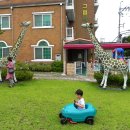 그림나라유치원 이미지