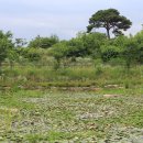 산청에가면 이미지