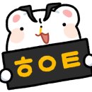 화이트허그