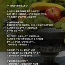 지독한 한기寒氣와 조상신 어떻게 해야 할까요? 이미지