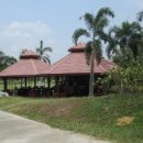 금잔디 골프 클럽 이미지