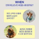 릴리브미 이미지