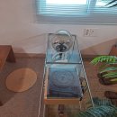 제주독채펜션돌집감성숙소돌담점 이미지