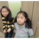 새한음악학원 이미지