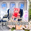 가덕도 역사체험 프로그램 - 4/13(토) | 영등포 윤중로 봄꽃축제 추천! 벚꽃만 보면 끝? 체험·팝업이 더 재밌다