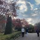 석모도 자연휴양림 이미지