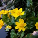 모두스마일 이미지