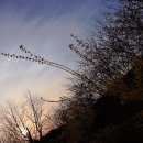 고인돌공원건너 이미지