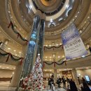 SAC ON SCREEN 피노키오 | 🩰예술의전당 국립발레단 호두까기 인형, 유니버설발레단과는 또 다른 매력 ft. 허수아비돈까스 김치나베