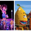 황금바다 C, D 이미지