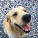 명주한의원 이미지