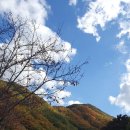 치산캠핑장 이미지