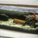 핫바디짐 | 서로 신비감은 없어질지 몰라도