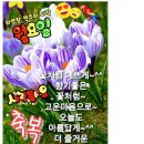 🌼5월의 마지막 월요일! 소중한 한주되시길 축복합니다 이미지