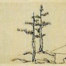 카세파 | 세한도歲寒圖
