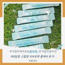 샤인이너케어 | 자밀라 저분자 피쉬 콜라겐, 300달톤 고함량 피부탄력 홈케어 후기!