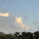 아날로그데이 이미지