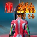 타이거 휘트니스 이미지