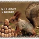군군 이미지