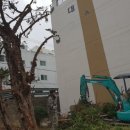 무궁화유치원 이미지