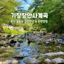 함께하는한숲경로무료급식소따뜻한밥상 | 부산 물놀이 갈만한 곳 추천 기장군 장안사 계곡