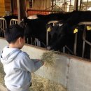 진하목장 이미지