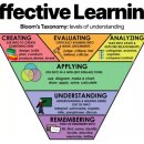 하버드유치원 이미지