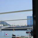 26.5.16~18(2박)백아도 섬 백패킹-은주지기(1) 이미지