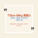 BS소프트 | 173cm 66kg 통통녀 스파오 기본티 부츠컷 실착 후기