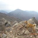 제일농원 이미지