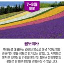 꽃길플라워 - 고양시 일산서구 킨텍스로 255 | 꽃길플라워