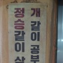 정승식당 Daum카페