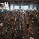 피티 홀로서기 | [공지] [서면 PT] 헬스 초보자가 홀로 설 수 있는 리셋 피티