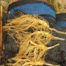 충대농약사 이미지