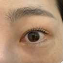 꼼꼼한영이씨 뷰티