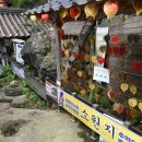 부여군 고란약수 이미지