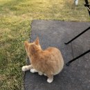 학동 | 거제 감성 숙소 <머그학동> 내돈내산 후기